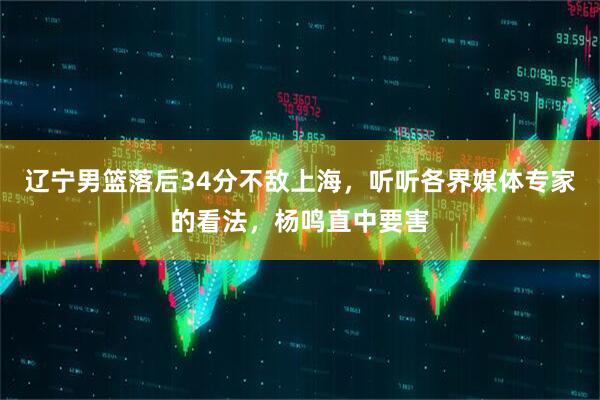 辽宁男篮落后34分不敌上海，听听各界媒体专家的看法，杨鸣直中要害