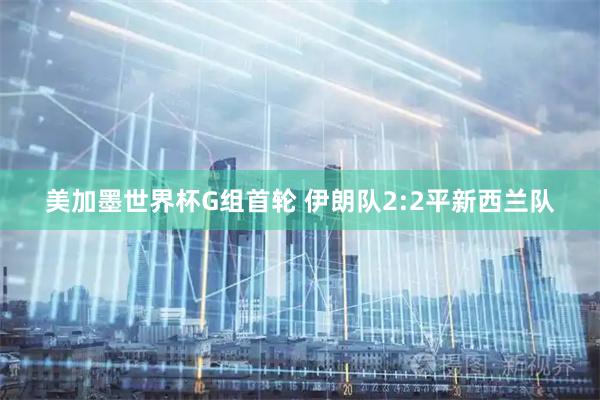美加墨世界杯G组首轮 伊朗队2:2平新西兰队